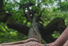 커뮤니티 형성에 도움이 되는 ,신체활동의 역할 a group of people holding hands on top of a tree