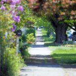 ‘마음 돌봄’이 건강 트렌드로… 실생활에서 쉽게 실천하는 스트레스 관리법 a pathway lined with lots of trees and flowers
