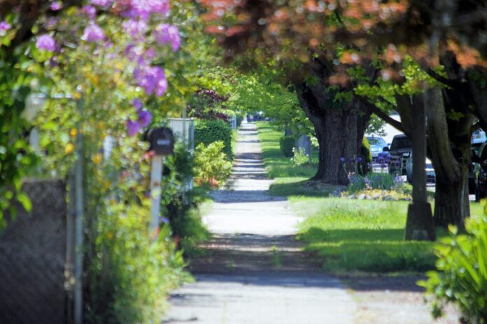 a pathway lined with lots of trees and flowers