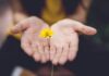 “마음 건강, 하루 10분의 작은 실천부터 시작해요” selective focus photography of woman holding yellow petaled flowers
