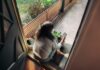 만성피로, 일상에서 벗어나는 실천법은? Woman sitting on balcony with smartphone