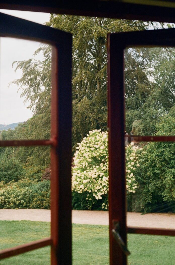 Photo by Tanya Prodaan A view through an open window of a garden with a flowering white bush
